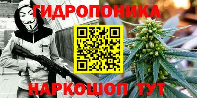 гидра Абакан
