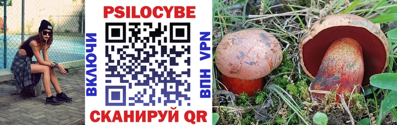 Псилоцибиновые грибы мицелий  блэк спрут зеркало  Пермь  купить наркотик 